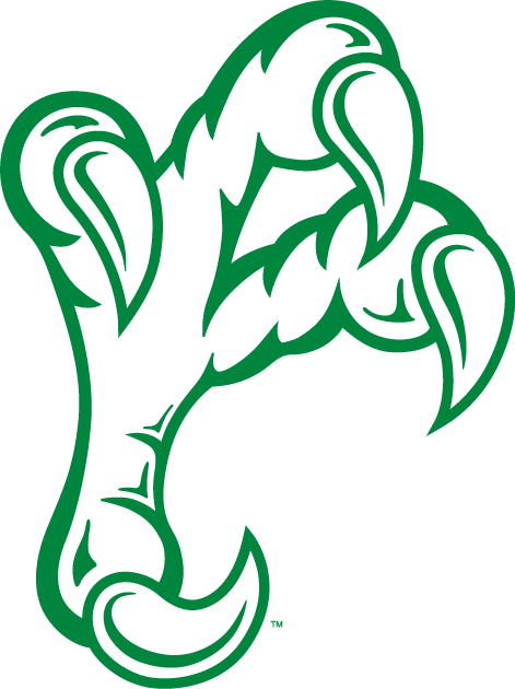 North Texas Mean Green 2005-Pres Alternate Logo diy iron on heat transfer